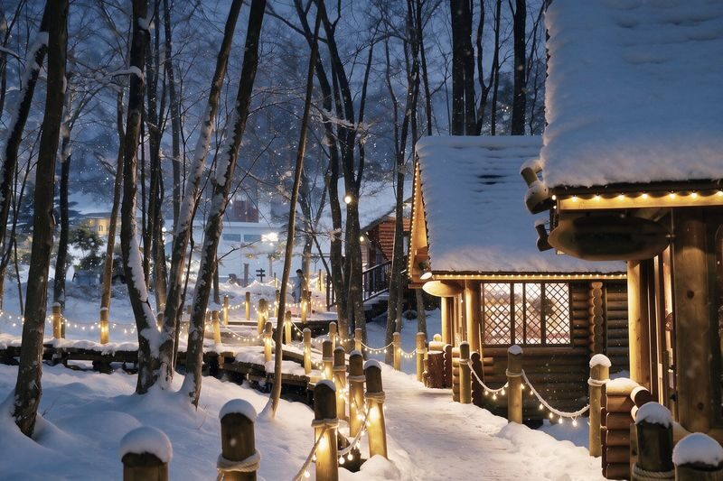 Late Departure | Forest Elf Terrace Illumination, Biei Blue Pond, Farm Tomita, Shikisai no Oka 1-Day Tour (Departing from Sapporo) - What the guide and vehicle arrangement really means