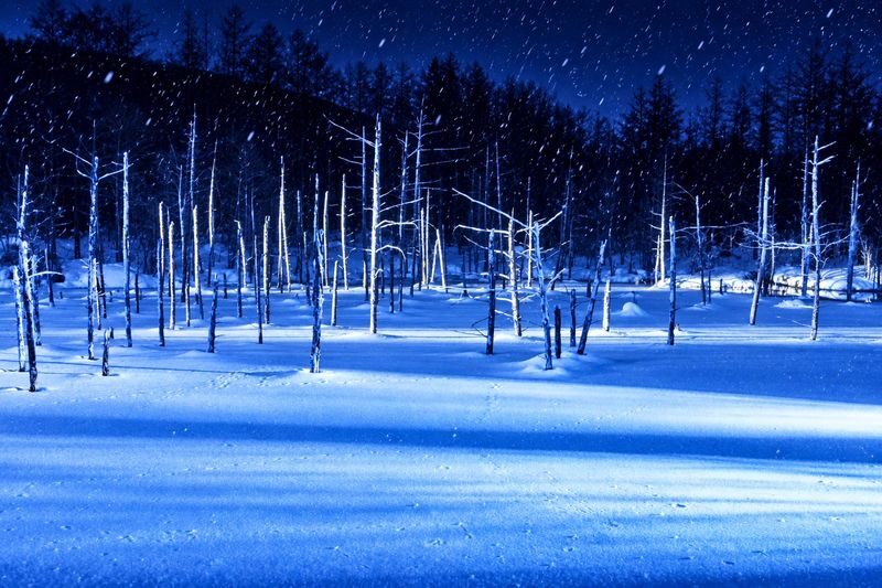 Late Departure | Forest Elf Terrace Illumination, Biei Blue Pond, Farm Tomita, Shikisai no Oka 1-Day Tour (Departing from Sapporo) - Keeping the day comfortable