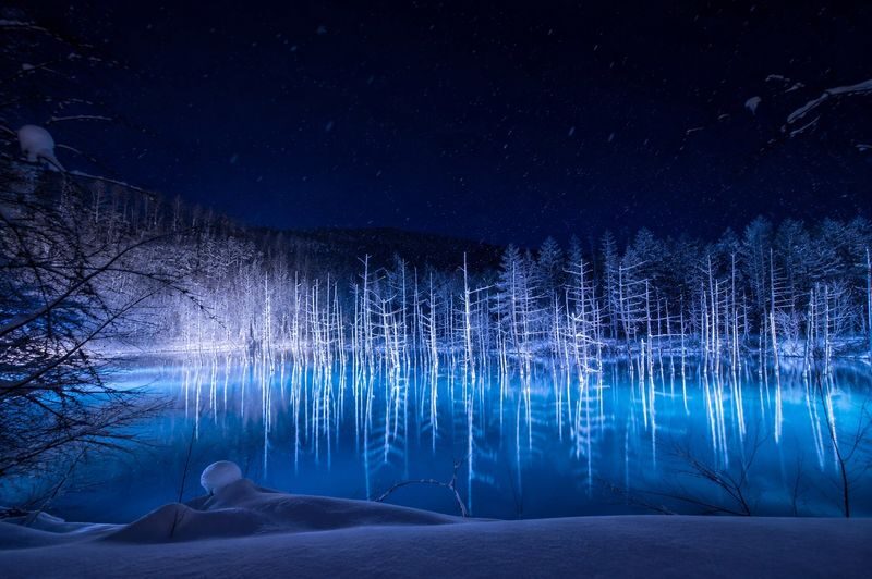 Late Departure | Forest Elf Terrace Illumination, Biei Blue Pond, Farm Tomita, Shikisai no Oka 1-Day Tour (Departing from Sapporo) - Should you book this Furano and Biei day trip?