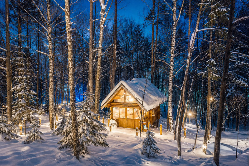 Late Departure| Lone Christmas Tree & Ningle Terrace Illumination - Blue Pond after dark, if the schedule allows