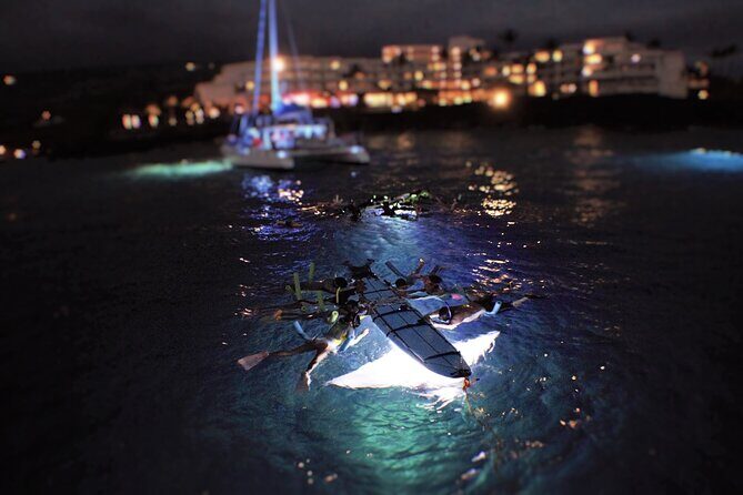 Late Night Manta Snorkel - An In-Depth Look at the Late Night Manta Snorkel Experience