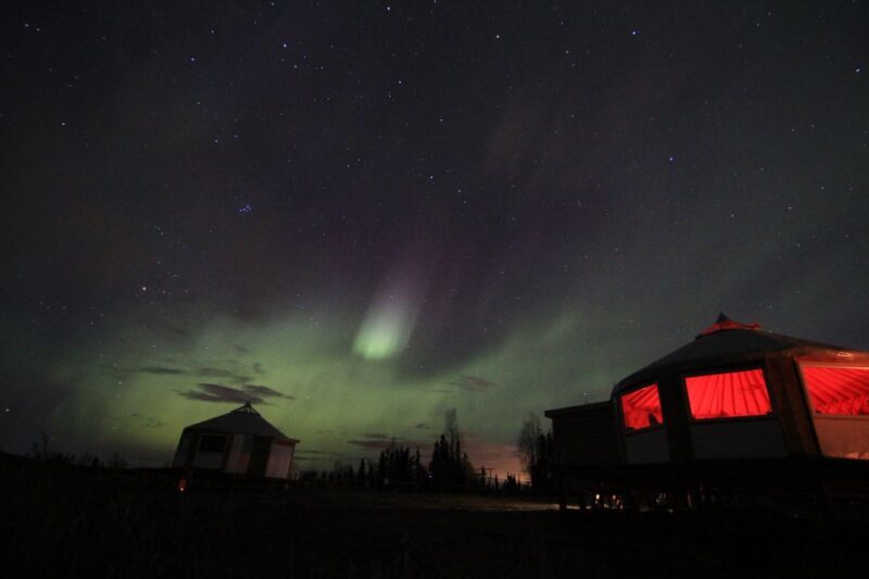 Late Night Yurt Dinner and Northern Lights - Experience the Magic of Alaska’s Northern Lights from a Yurt