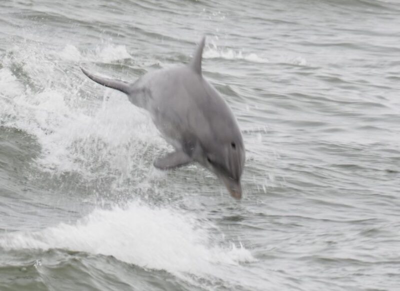 Late Riser Fishing - Discover the Charm of Late Riser Fishing in Delaware