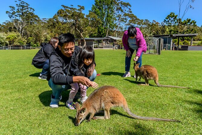 Late Start Blue Mountains Nature, Waterfalls, Koalas Small Group - Frequently Asked Questions