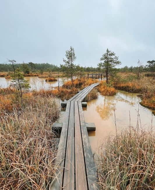 Latvian Landscapes: Kemeri & Jurmala Guided Tour - Exploring Latvia’s Coastal and Natural Highlights