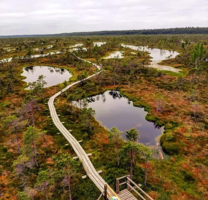 Latvian Landscapes: Kemeri & Jurmala Guided Tour - Who Is This Tour Best For?
