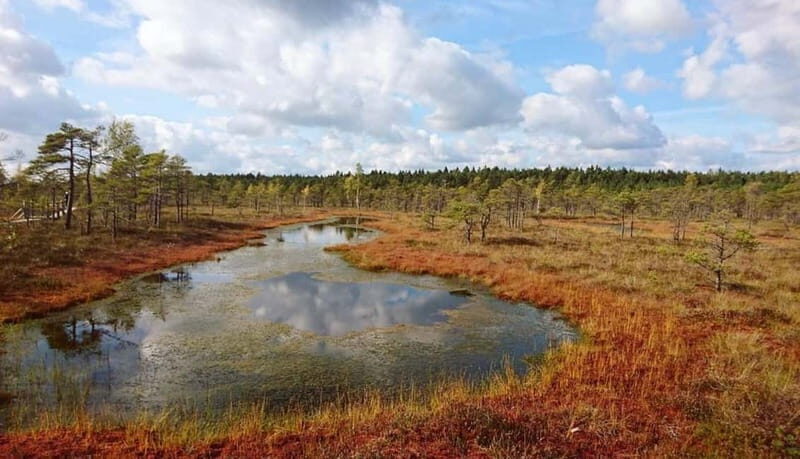 Latvian Landscapes: Kemeri & Jurmala Guided Tour - Frequently Asked Questions