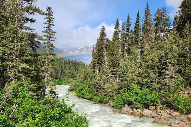 Laughton Glacier Hike and White Pass Rail Adventure - Returning and Reflection