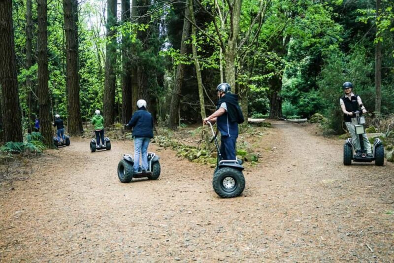 Launceston: Hollybank Forest Guided Segway Tour with Photos - Launceston: Hollybank Forest Guided Segway Tour with Photos