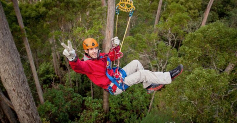 Launceston: Hollybank Forest Treetop Zip Lining with Guide - Authentic insights from travelers