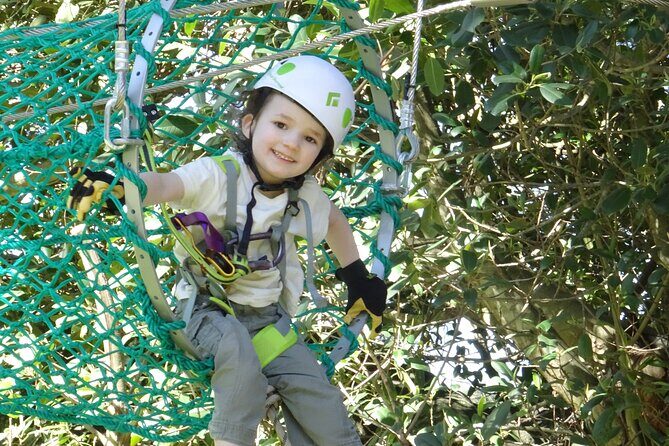Launceston Hollybank Junior Tree Ropes Course - A Complete Look at Launceston Hollybank Junior Tree Ropes Course