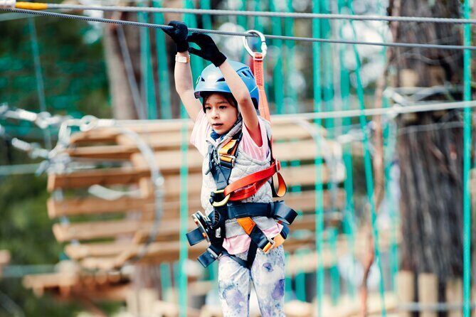 Launceston Hollybank Junior Tree Ropes Course - Final Thoughts