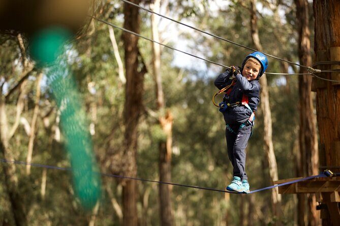 Launceston Hollybank Junior Tree Ropes Course - Frequently Asked Questions