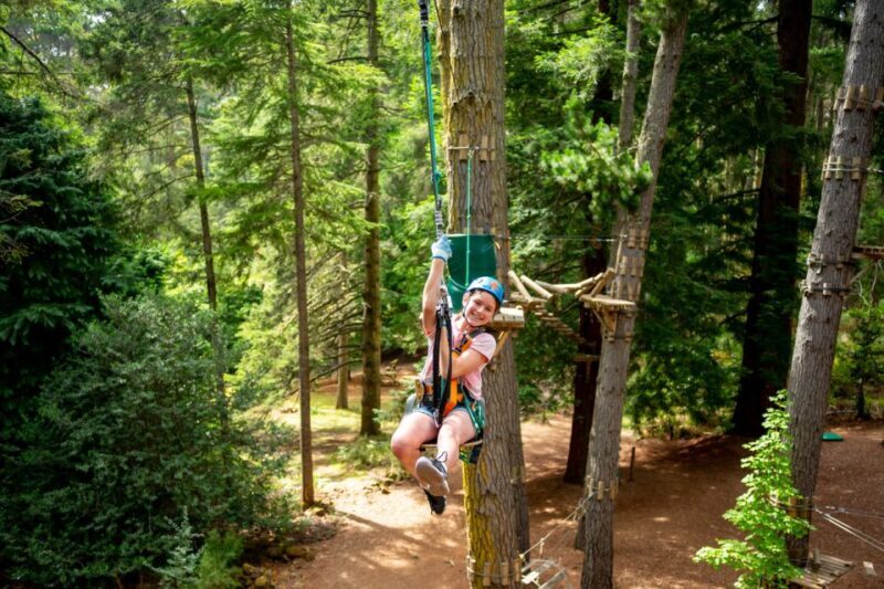 Launceston: Hollybank Tree Ropes Course - Launceston: Hollybank Tree Ropes Course — An Authentic and Exciting Adventure in Tasmania