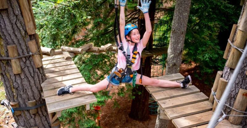 Launceston: Hollybank Tree Ropes Course - Key Points