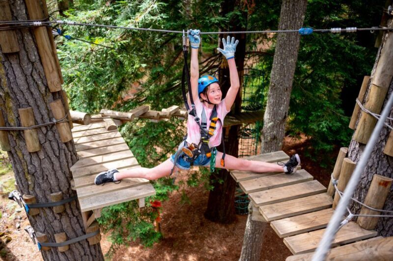 Launceston: Hollybank Tree Ropes Course - Why We Recommend This Experience