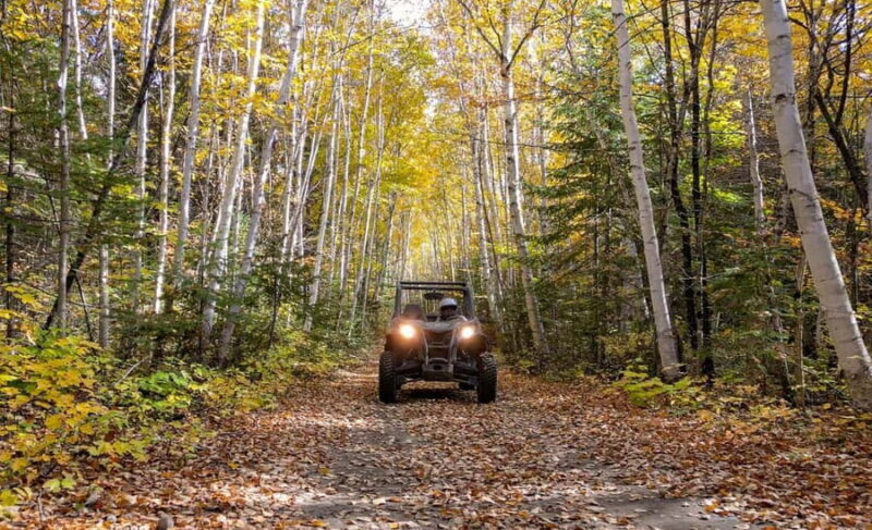 Laurentians: guided buggy tour - Practical Tips for Your Visit