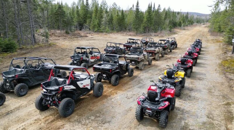 Laurentians: guided buggy tour - Final Thoughts