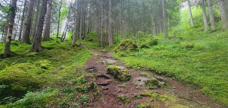 Lauterbrunnen: Private Walking Tour with an Irish Guide - Exploring Lauterbrunnen with a Personal Guide