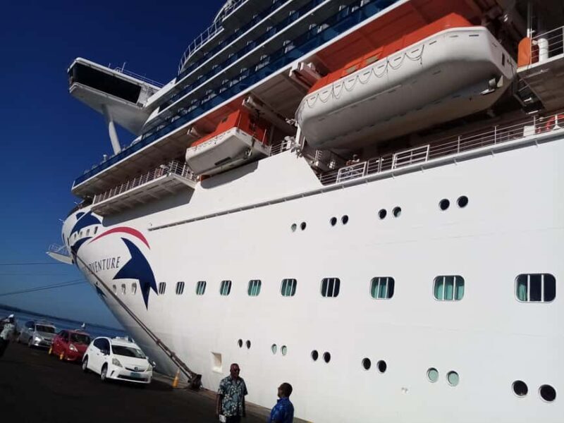 Lautoka Cruise Ship to Natadola Beach Round Trip - The Experience in Detail