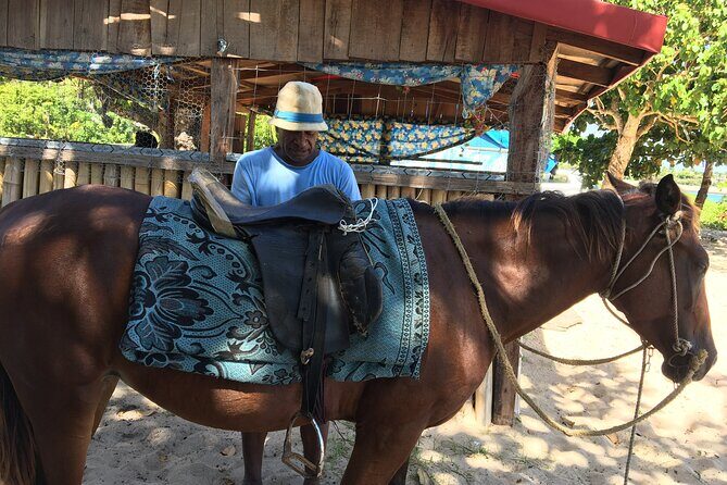 Lautoka Shore Excursions to Natadola Beach Round Trip - Key Points