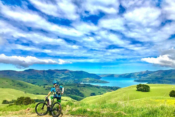 Lava Loop- Guided electric mountain bike tour in Akaroa - Exploring the Lava Loop: A Guided Electric Mountain Bike Tour in Akaroa