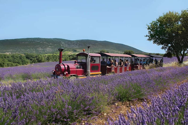 Lavande Guided Tour And Live Distillation - Frequently Asked Questions