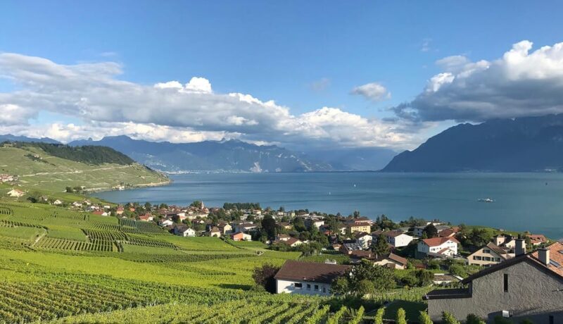 Lavaux: Vineyard Experience - What Makes This Tour Stand Out?