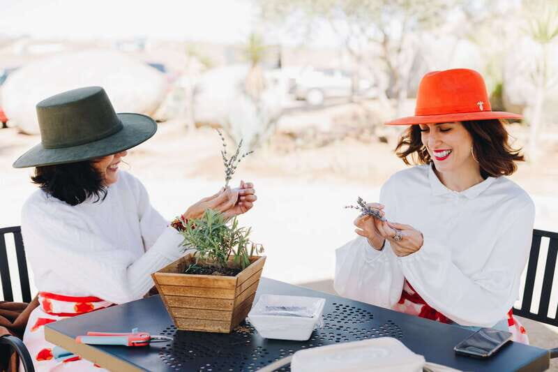 Lavender Experience Valle de Guadalupe - Guided Field Tour - Final Thoughts: Is It Worth It?