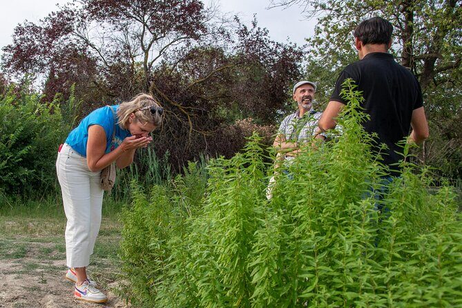 Lavender Harvesting and Distillation Workshop in Bellegarde - A Closer Look at the Lavender Harvesting and Distillation Experience