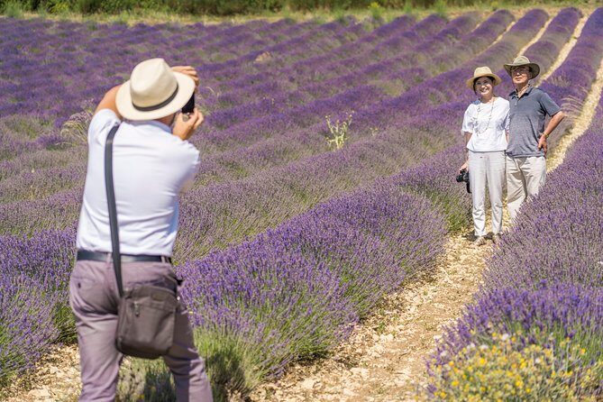 Lavender in Sault Small Group Half-Day Trip - Exploring the Lavender in Sault Small Group Half-Day Trip