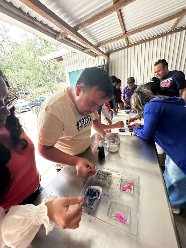 Lavender Ranch, Chautla and Val`Quirico. - The Value and Price Point