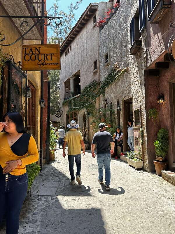 Lavender Ranch, Chautla and Val`Quirico. - FAQ