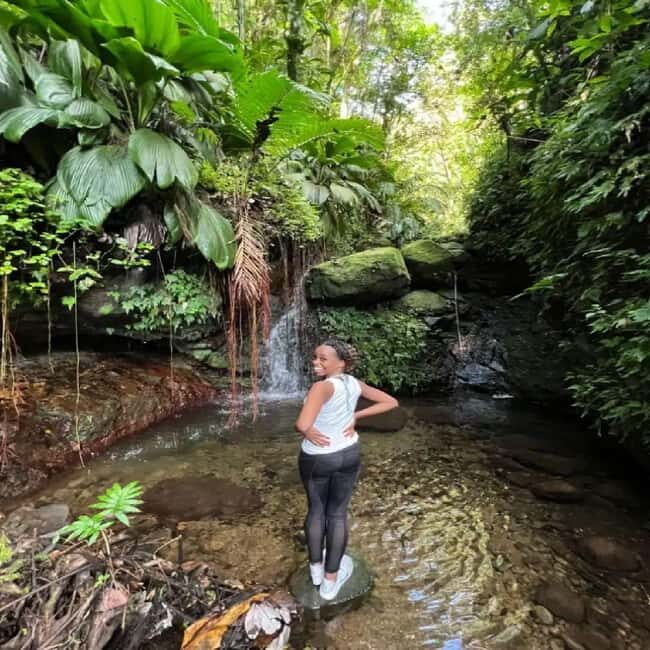 Lawyer Stephen Hike with Waterfall and Cave Hike - Key Points