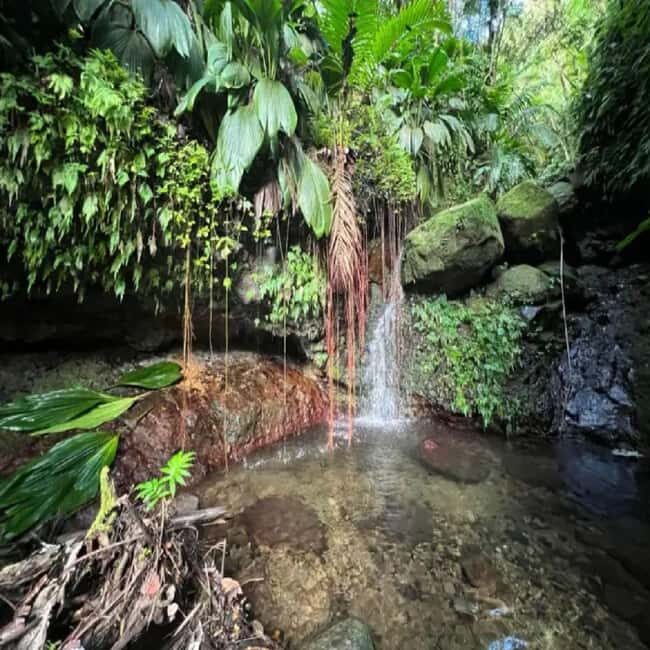 Lawyer Stephen Hike with Waterfall and Cave Hike - Starting Point and Initial Ascent