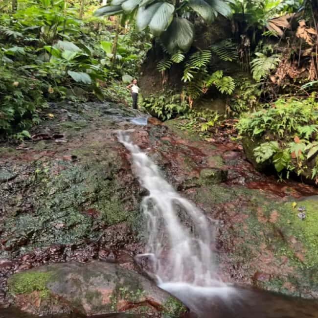 Lawyer Stephen Hike with Waterfall and Cave Hike - Return and Reflection