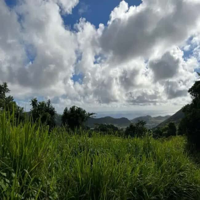 Lawyer Stephen Hike with Waterfall and Cave Hike - What’s the Experience Like?