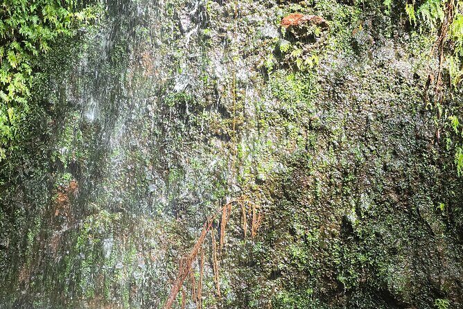 Lawyer Stephens Cave & Waterfalls Hike - Who Should Consider This Tour?