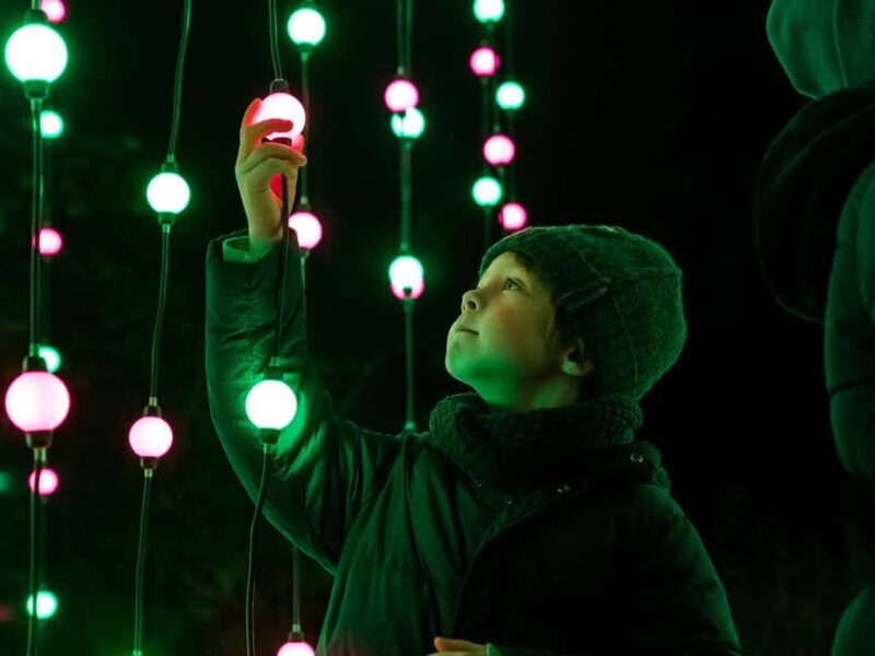 Laxenburg Castle Park: ILLUMINA Austria's largest light garden - ticket - Planning Your Visit