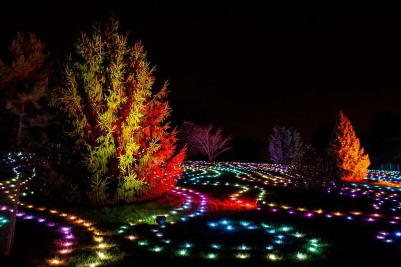 Laxenburg Castle Park: ILLUMINA Austria's largest light garden - ticket - Who Will Love It?