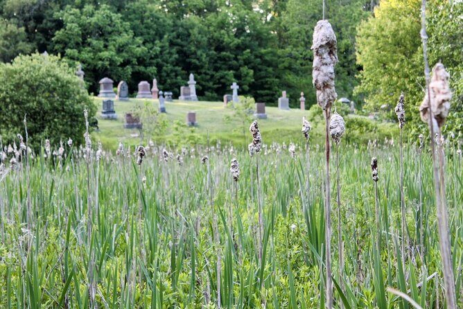 Layers of Natural History: Picton Nature Self-Guided Audio Tour - The Sum Up