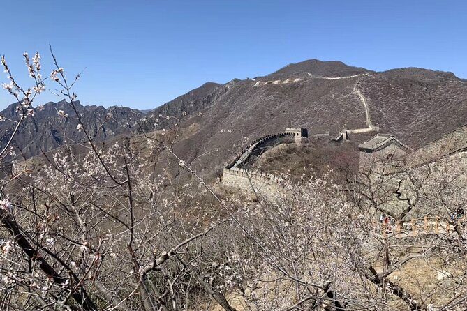 Layover Trip to Great Wall with English Driver in Beijing - Final Thoughts: Who Is This Tour For?