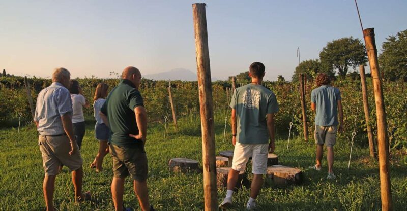 Lazise: Beekeeping Farm Tour and Tasting Experience - Lazise: Beekeeping Farm Tour and Tasting Experience