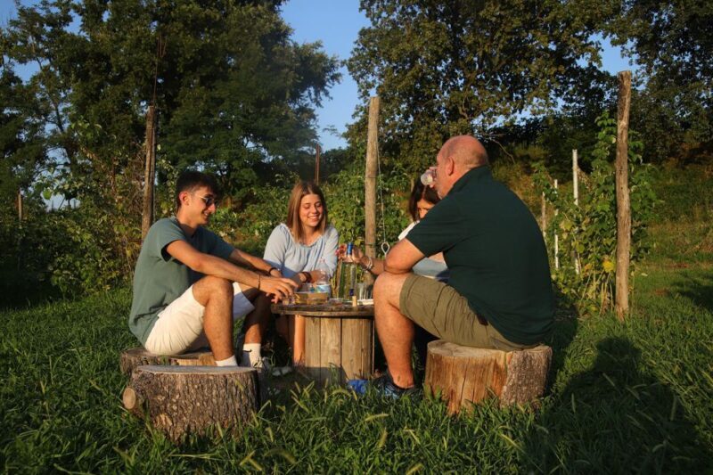 Lazise: Beekeeping Farm Tour and Tasting Experience - Key Points