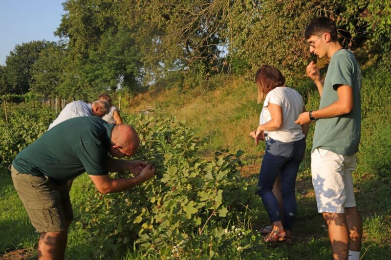 Lazise: Beekeeping Farm Tour and Tasting Experience - FAQs