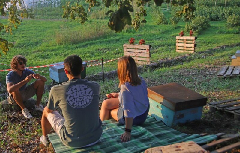 Lazise: Beekeeping Farm Tour and Tasting Experience - Final Thoughts