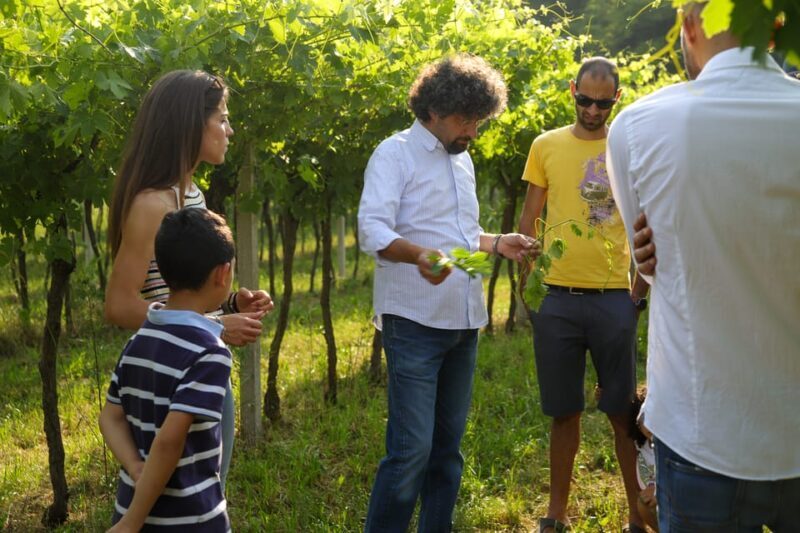 Lazise: Biodynamic Farm Tour and Natural Wine Tasting - Frequently Asked Questions