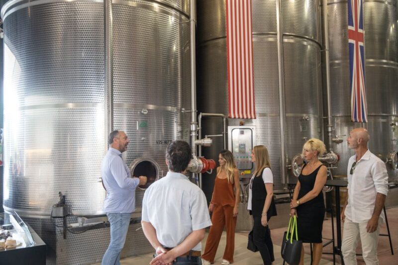 Lazise: Vineyard Tour and Organic Wine Tasting - Exploring Lazise’s Organic Vineyard Tour and Wine Tasting Experience