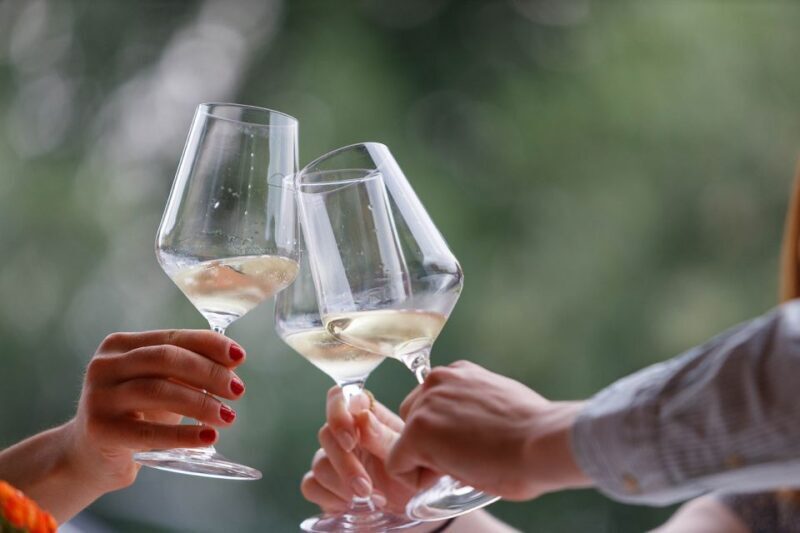 Lazise: Winery Tour with Garda Wines and Food Tasting - Why Travelers Love This Tour