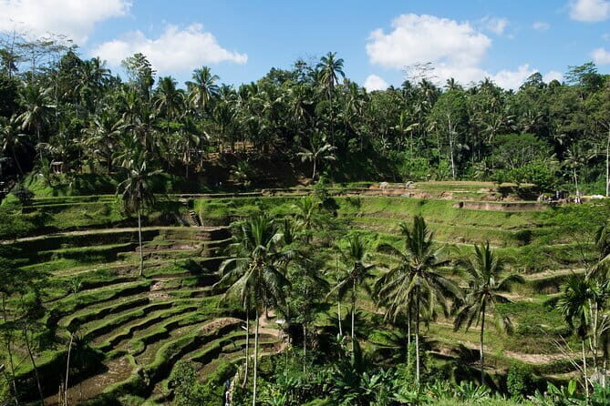 Lazy Cave Tubing with Kintamani Volcano Tour - The Complete Breakdown of the Bali Tube and Volcano Tour